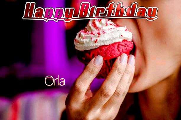 Happy Birthday Orla