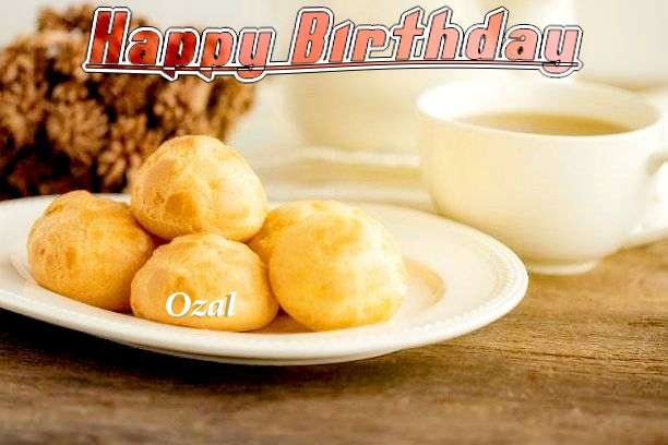 Ozal Birthday Celebration