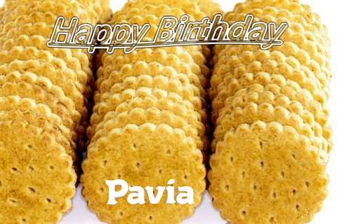 Pavia Cakes