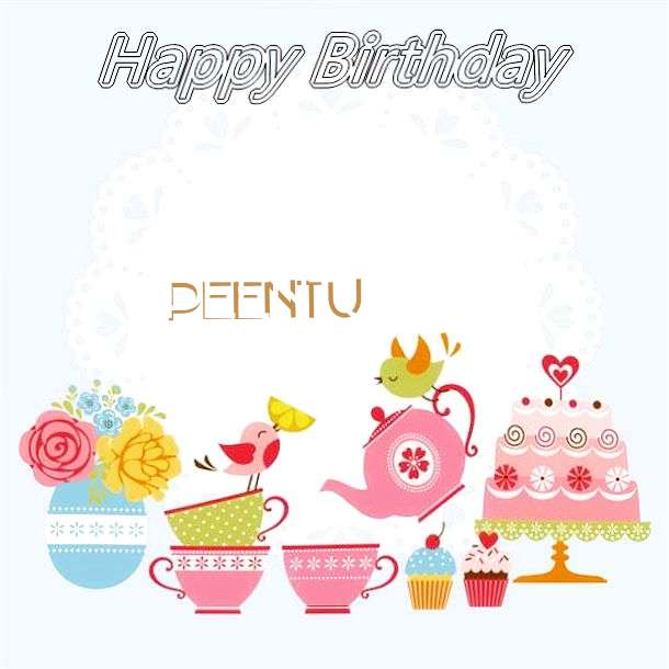 Happy Birthday Wishes for Peentu