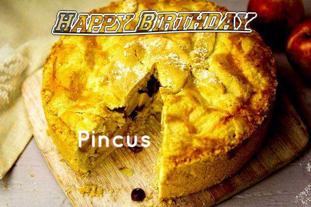 Pincus Birthday Celebration