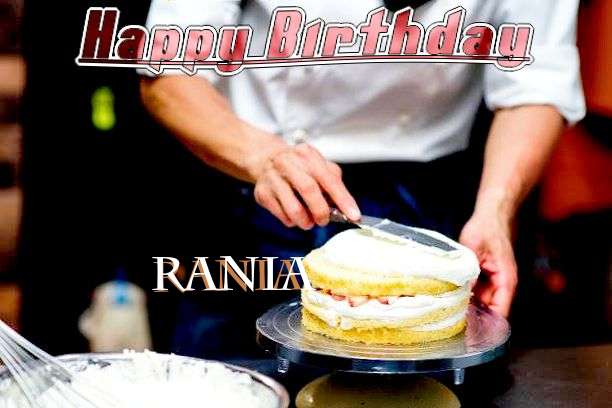 Rania Cakes