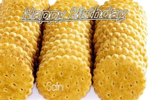 Salini Cakes