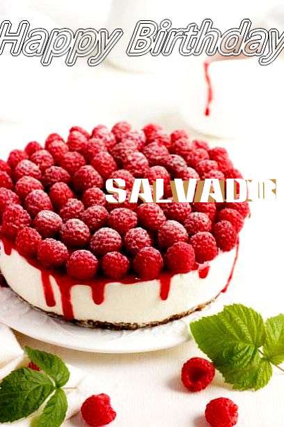 Salvadore Cakes