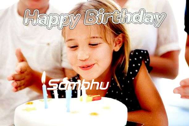 Sambhu Birthday Celebration