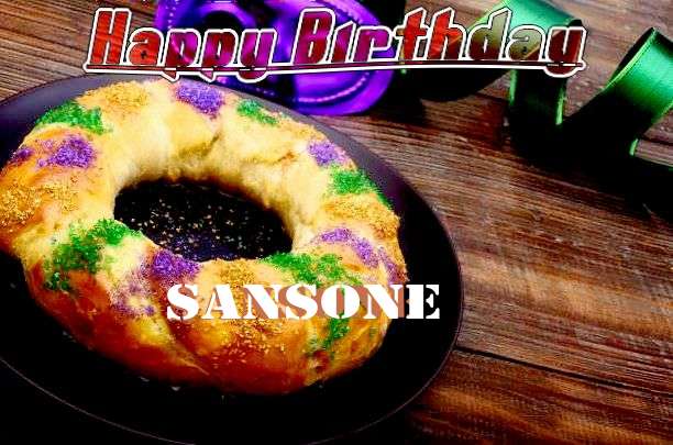 Sansone Birthday Celebration