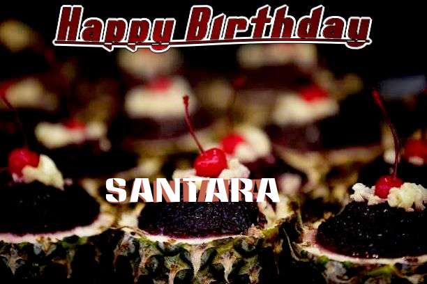 Santara Cakes