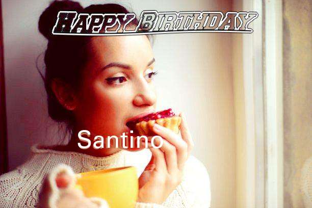 Santino Cakes