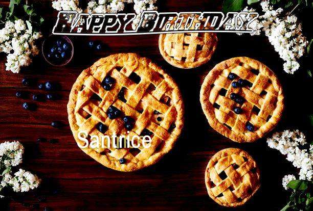Happy Birthday Wishes for Santrice