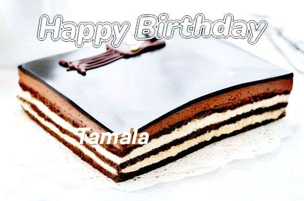 Happy Birthday to You Tamala