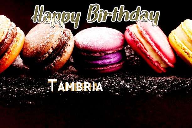 Tambria Birthday Celebration