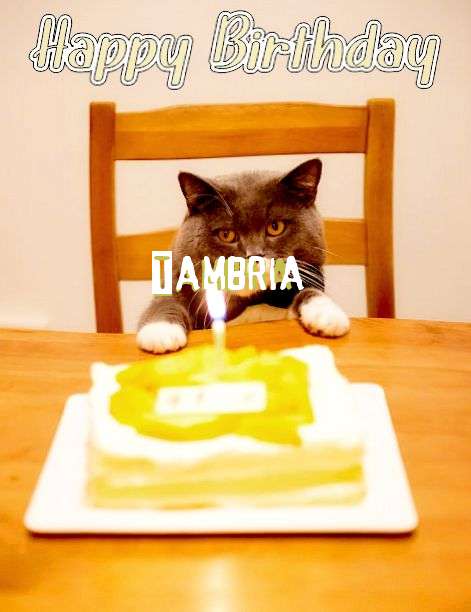 Happy Birthday Cake for Tambria