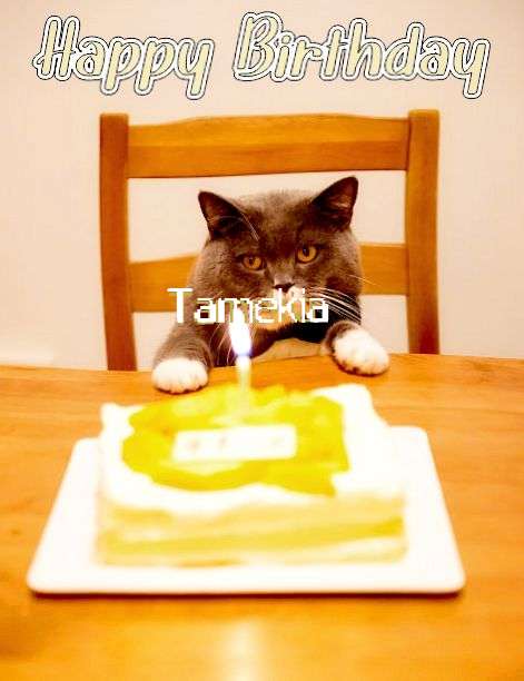 Happy Birthday Cake for Tamekia