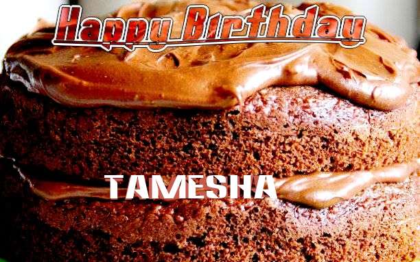 Wish Tamesha