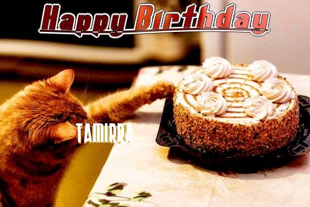 Happy Birthday Wishes for Tamirra