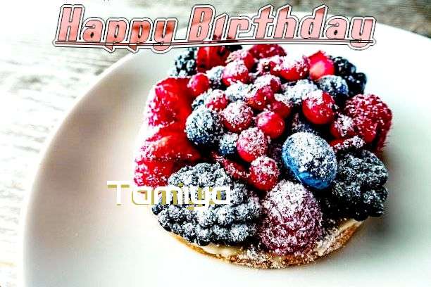 Happy Birthday Cake for Tamiya