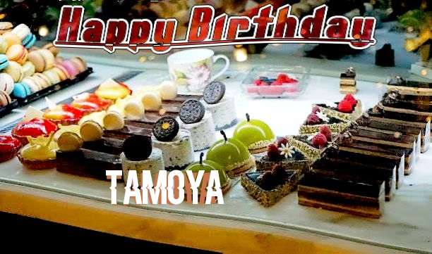 Wish Tamoya