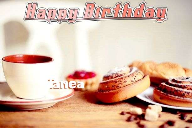 Happy Birthday Wishes for Tanea