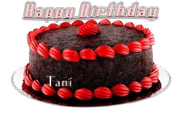 Happy Birthday Cake for Tani