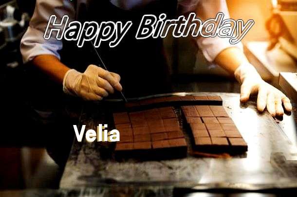 Birthday Wishes with Images of Velia