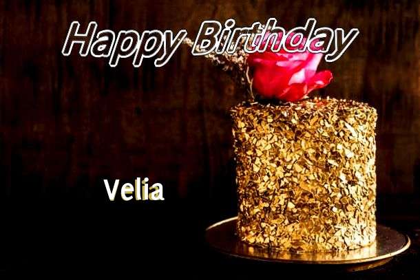 Velia Cakes