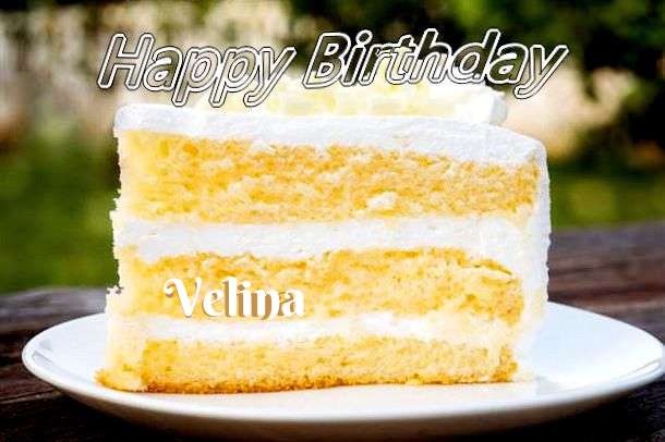 Wish Velina