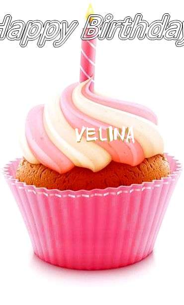 Happy Birthday Cake for Velina