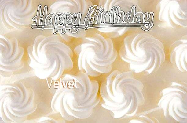 Happy Birthday to You Velvet