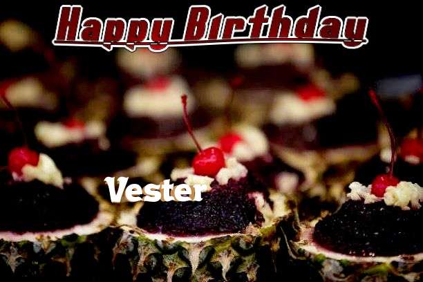 Vester Cakes
