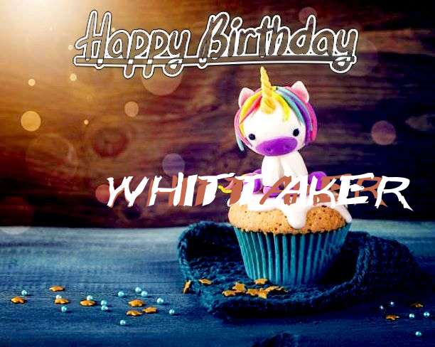 Happy Birthday Wishes for Whittaker