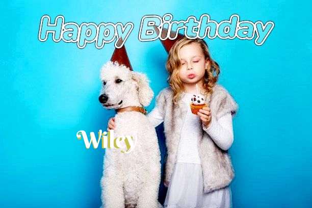 Happy Birthday Wishes for Wiley