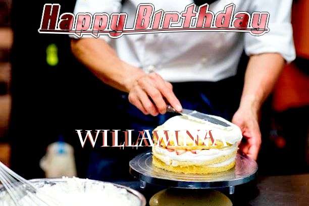 Willamina Cakes