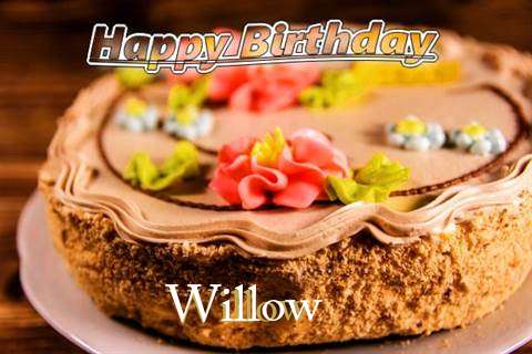 Happy Birthday Willow