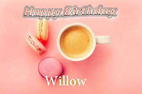 Happy Birthday to You Willow