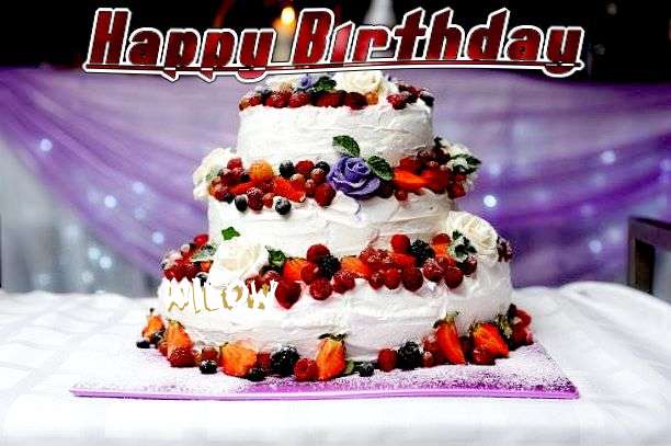 Happy Birthday Wilow Cake Image
