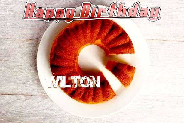 Wilton Birthday Celebration