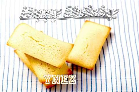 Ynez Birthday Celebration